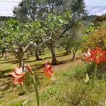 Casale Calabria Couette-café Gizzeria