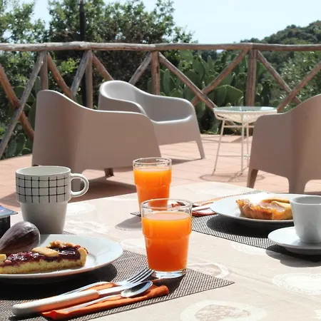 Casale Calabria Bed & Breakfast Gizzeria