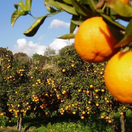 Casale Calabria Bed & Breakfast *