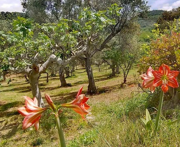 Casale Calabria Frühstückspension Gizzeria
